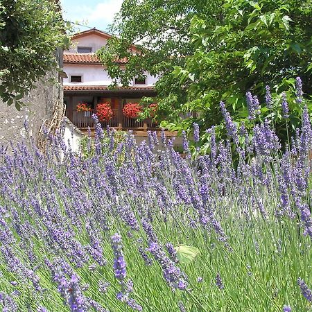 Pliskovica Youth Hostel Екстериор снимка