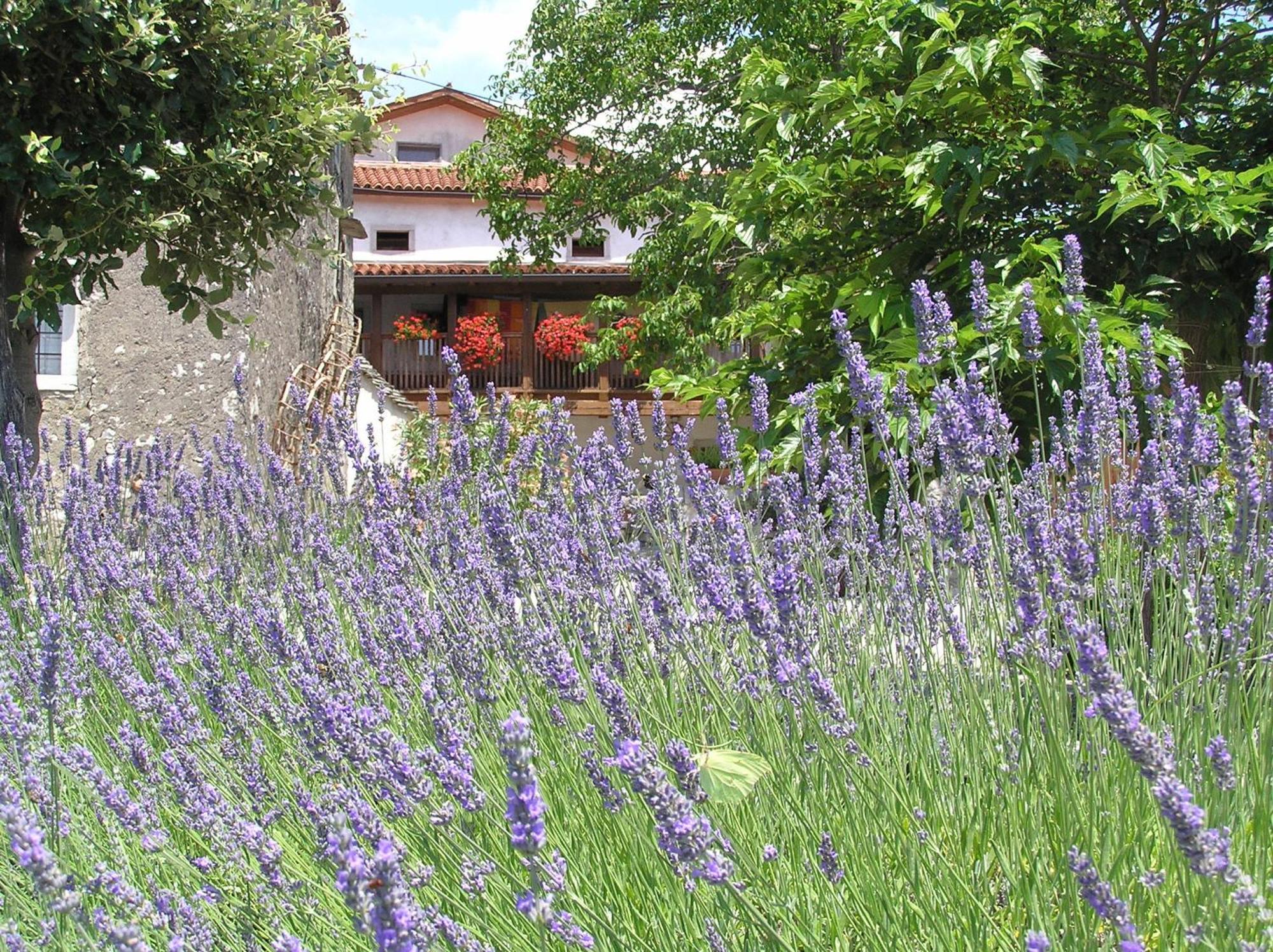 Pliskovica Youth Hostel Екстериор снимка